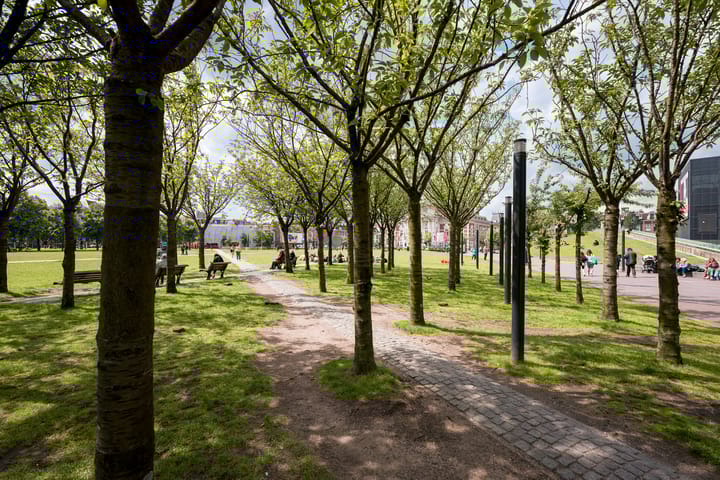 Photo 51 of Alexander Boersstraat 50