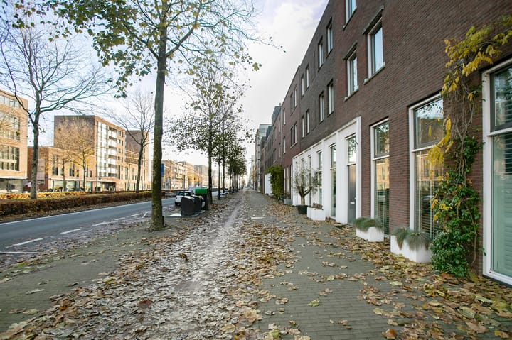 Foto 50 van IJburglaan 980