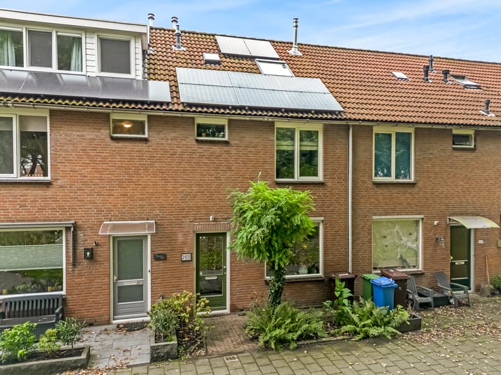 Foto 6 van Marketentster 265