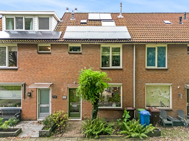 Foto 7 van Marketentster 265