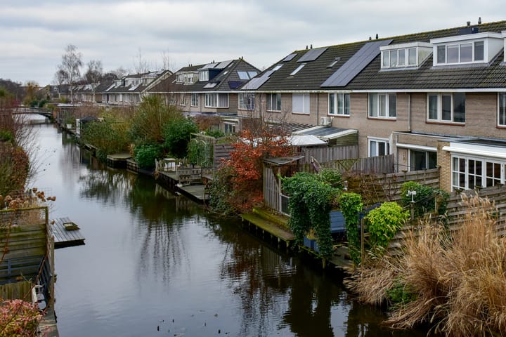 Foto 2 van Witkopeend 80