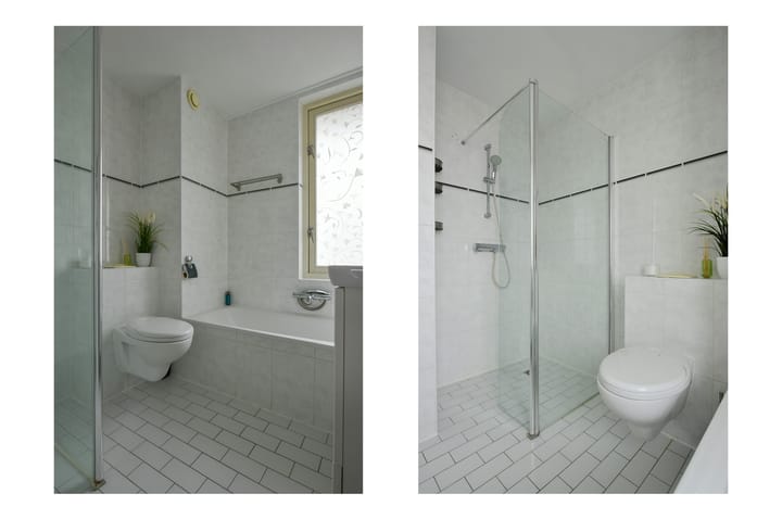 Foto 19 van Witkopeend 80