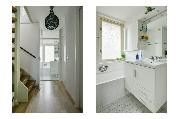 Foto 20 van Witkopeend 80