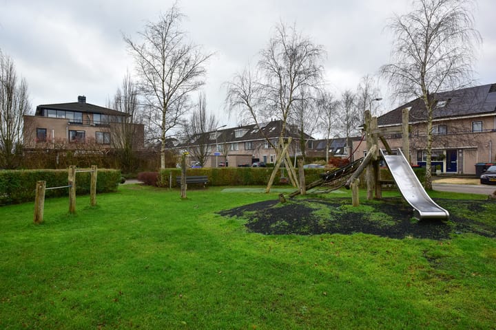 Foto 29 van Witkopeend 80