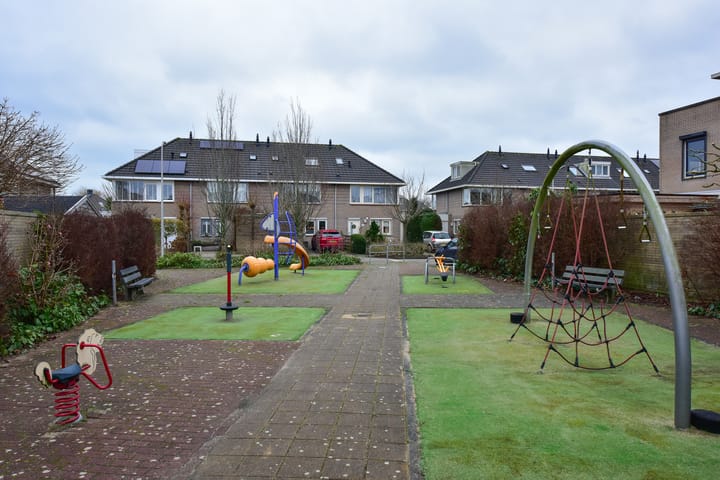 Foto 30 van Witkopeend 80