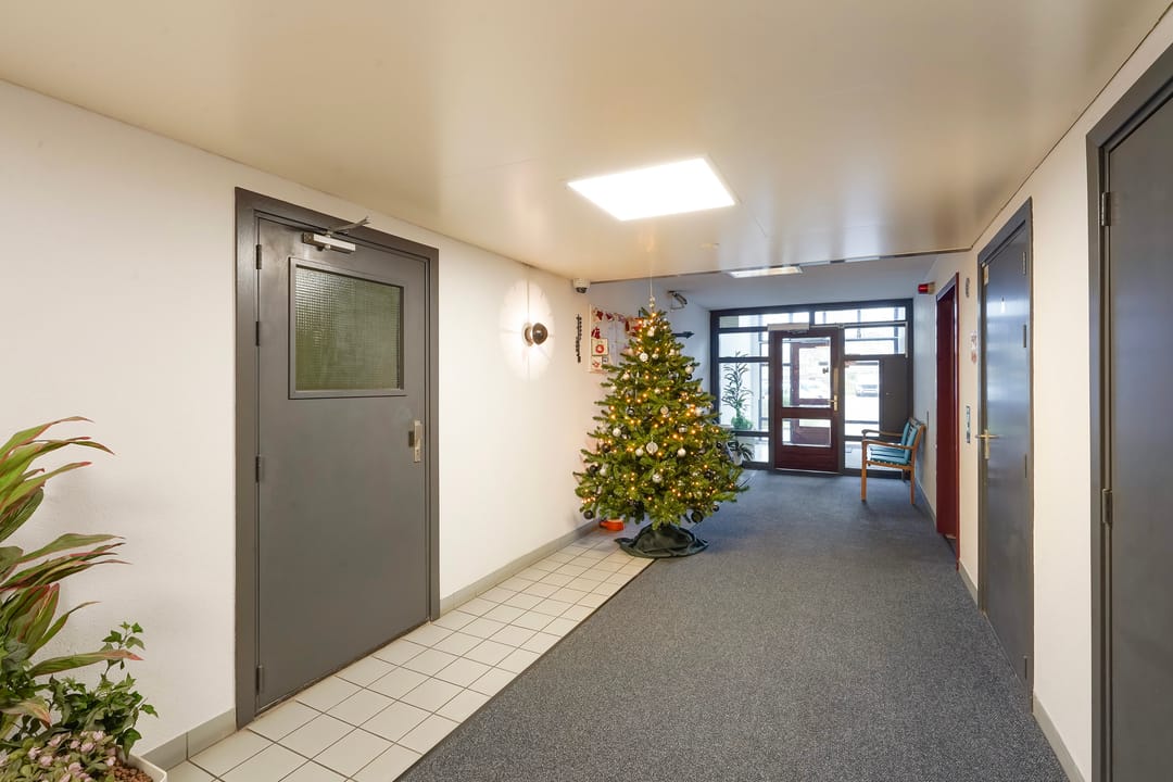 Foto 28 van Jan Le Griepstraat 74