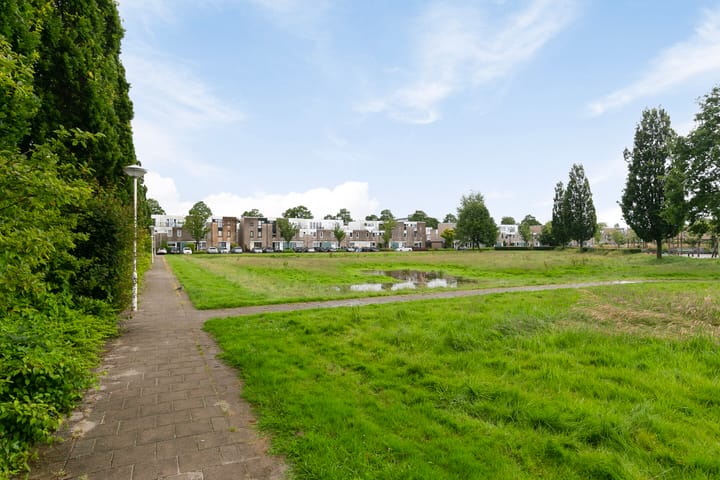 Foto 5 van Oriëntblauw 12