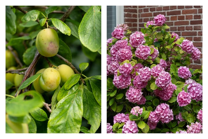 Foto 19 van Oranjekade 39