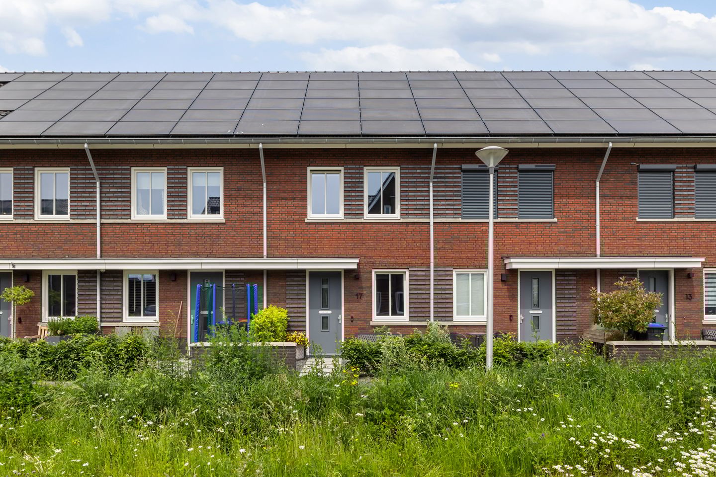 Foto 1 van Kuilgras 17