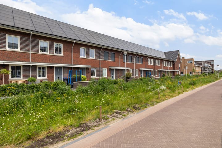 Foto 36 van Kuilgras 17