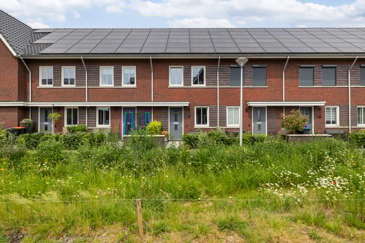 Foto 38 van Kuilgras 17