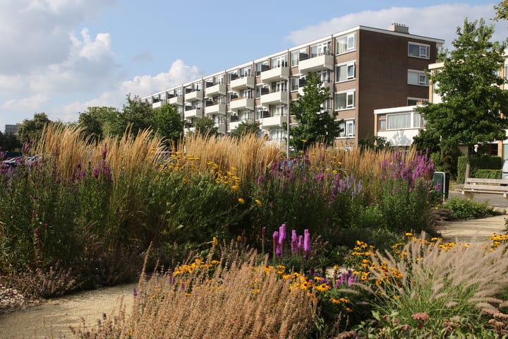 Photo 46 of Telderslaan 50