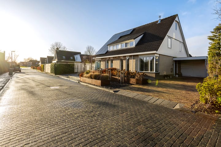 Foto 50 van it Bûtlân 5