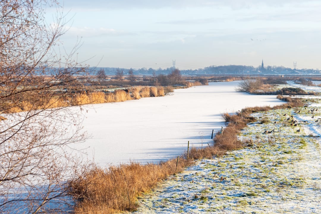 Foto 2 van Den Ilp 137