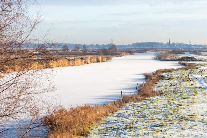 Foto 2 van Den Ilp 137