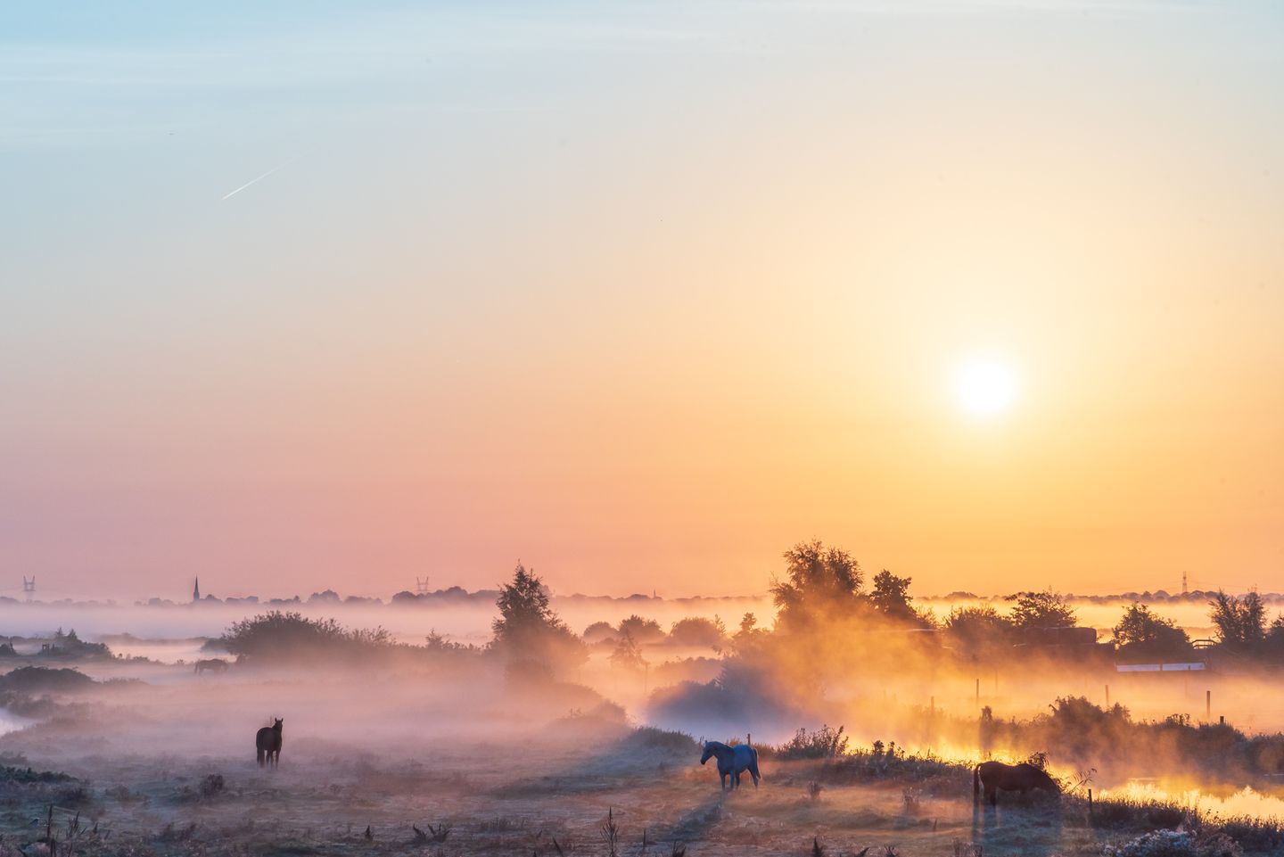 Foto 1 van Den Ilp 137