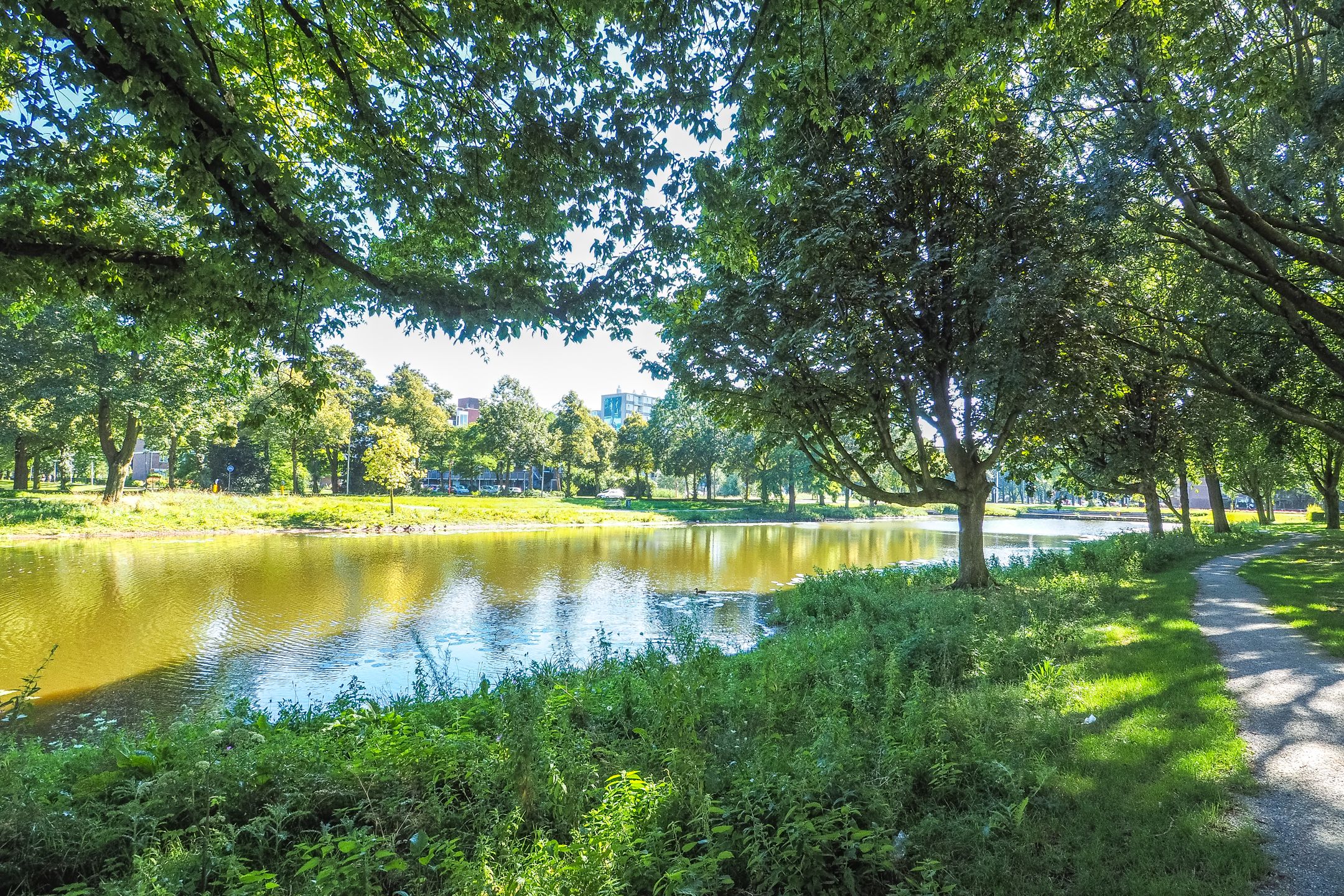 Photo 39 of Rhodosdreef 154