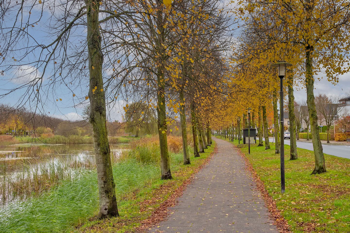 Photo 35 of Trondheimstraat 9