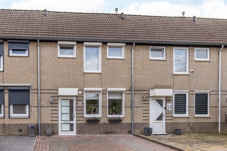 undefined main image