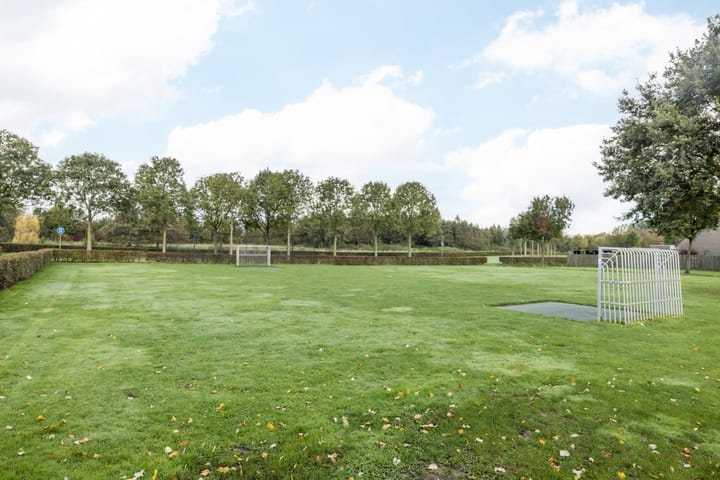 Foto 35 van Seelenstraat 20