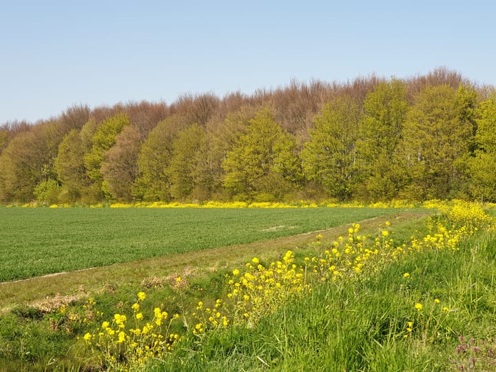 Foto 33 van Julianastraat 60