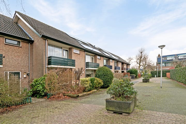 undefined main image