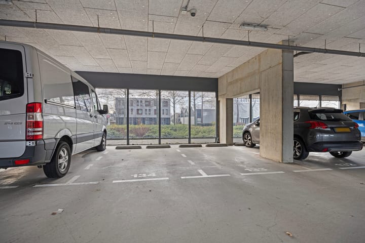 Photo 33 of Buizerdhof 411