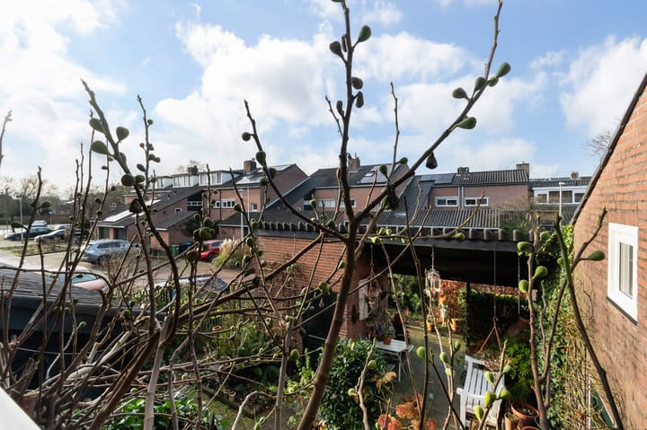 Foto 31 van Krekelmeent 109