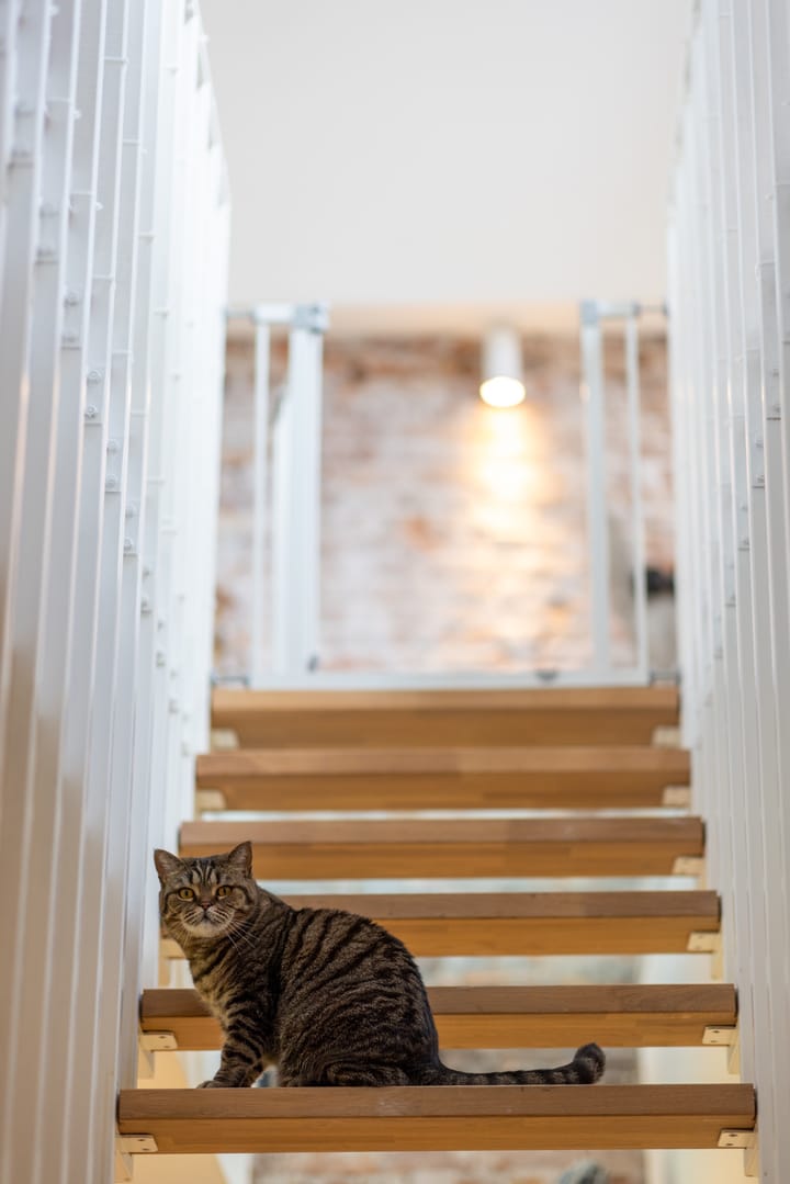 Foto 17 van Heemraadssingel 208-D