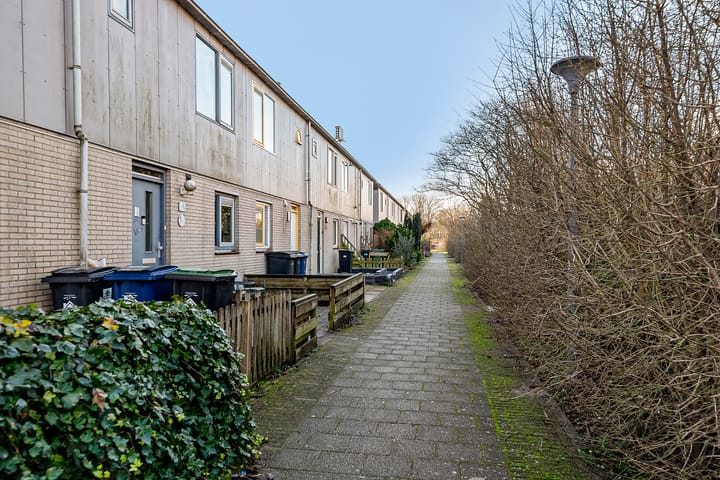 Foto 31 van Hartekruidpad 3