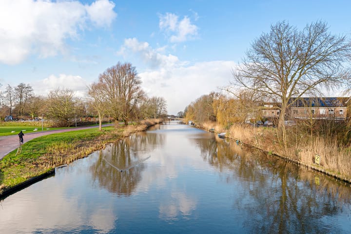 Foto 35 van Hartekruidpad 3