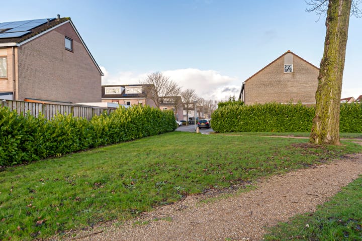 Foto 38 van Hartekruidpad 3