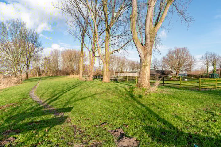 Foto 41 van Hartekruidpad 3