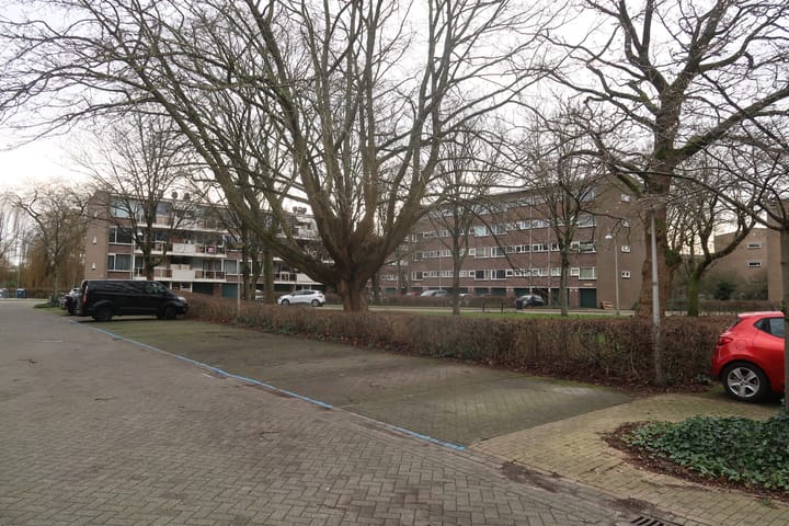 Foto 2 van Julianaplantsoen 261