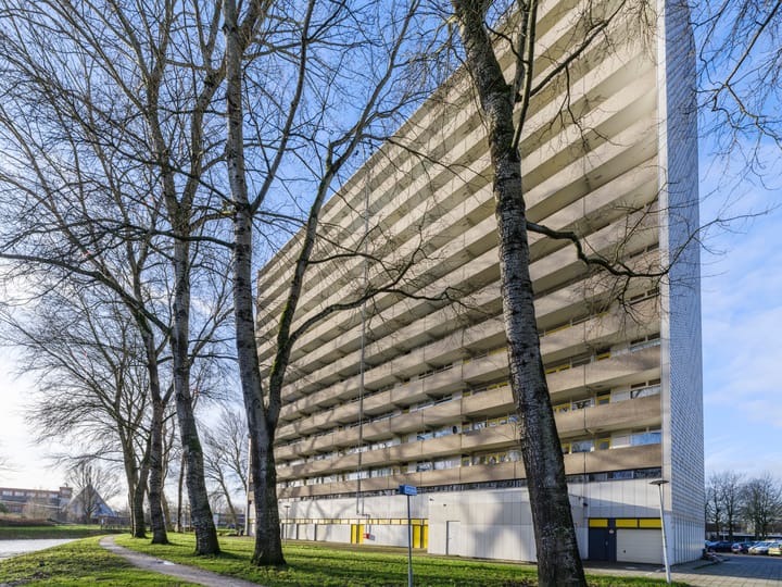 Foto 6 van Tjaarda 428