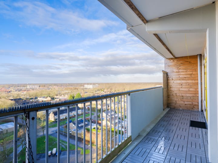 Foto 15 van Tjaarda 428