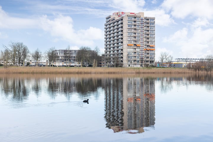 Bekijk foto van Senecalaan 16