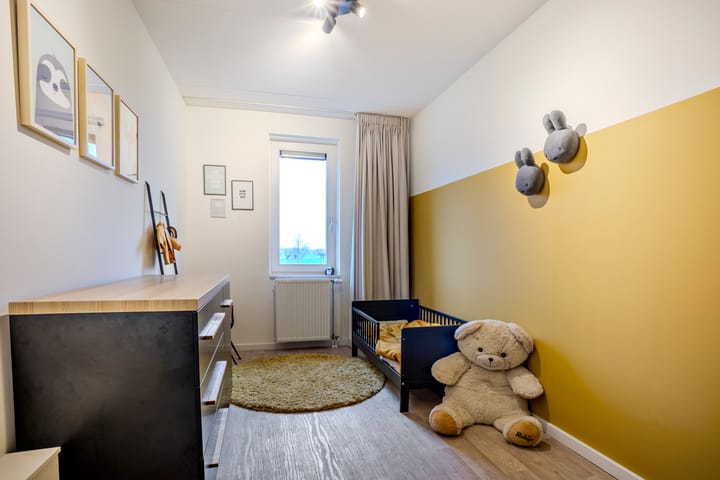 Foto 11 van Schutsboom 35