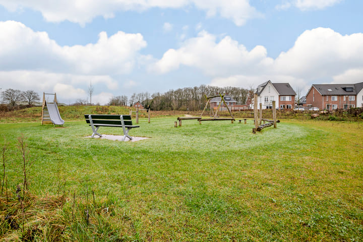 Foto 24 van Schutsboom 35