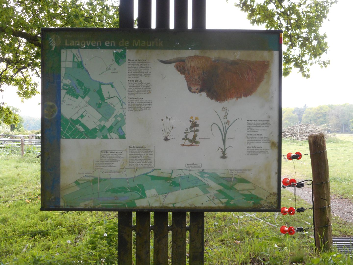 Foto 29 van Schutsboom 35