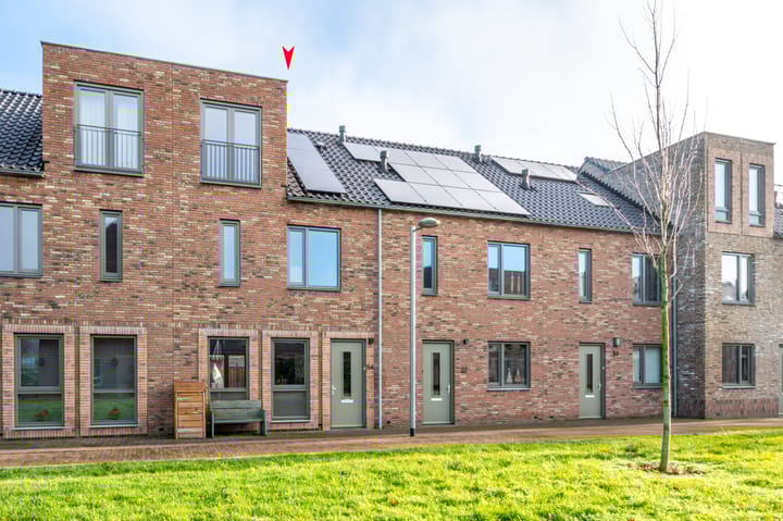 Foto 1 van Silenus 54