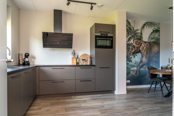 Foto 2 van Silenus 54