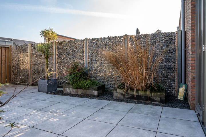 Foto 32 van Silenus 54