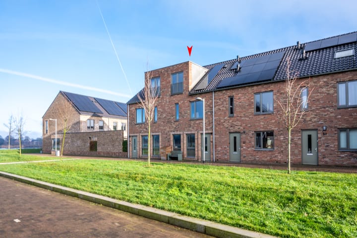 Foto 38 van Silenus 54