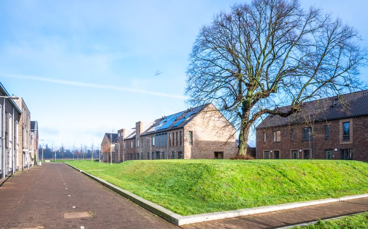 Foto 42 van Silenus 54