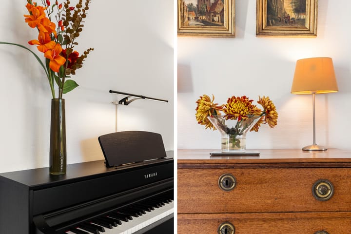 Foto 20 van Vlinderplantsoen 1