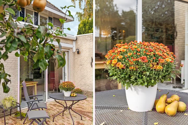 Foto 32 van Vlinderplantsoen 1