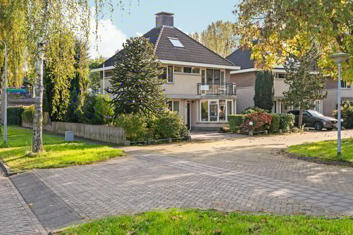 Foto 60 van Vlinderplantsoen 1