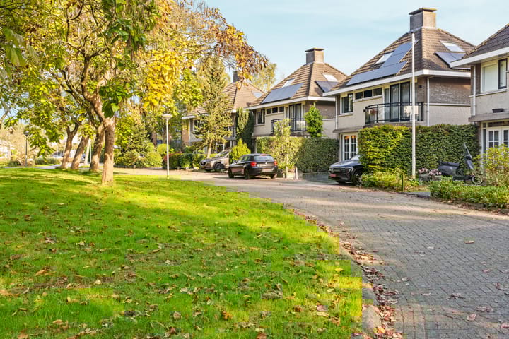 Foto 61 van Vlinderplantsoen 1