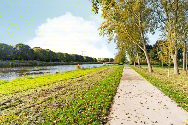 Foto 62 van Vlinderplantsoen 1